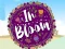 In Bloom