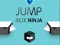 Jump Box Ninja