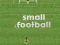 Small Football