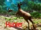 Hunter