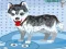 My Cute Dog Bathing