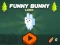 Funny Bunny Logic