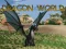 Dragon World
