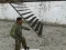 Heavy Combat