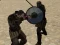 Gladiator Simulator