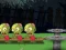 Tug of War Zombie