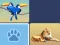 Wild Memory Match