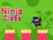 Ninja Class