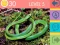15 Picture Quiz