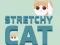 Stretchy Cat