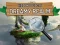 Hidden Objects Dreamy Realm — free online game