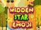 Hidden Star Emoji