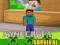 Minecraft Survival