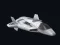 Space Combat