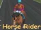 Horse Rider