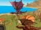 Dragon Simulator
