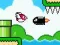 Bird Quest