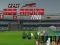 Crazy Dog Racing Fever
