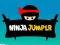 Ninja Jumper 
