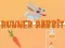 Runner Rabbit