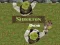 Shrek.fun