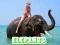 Elephants Puzzle