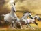 Running Horse Slide