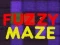 Fuzzy Maze