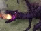 Minecraft Ender Dragon Challenge Minecraft Ender Dragon Challenge