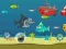 Crazy Shark