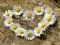 Daisy Heart Jigsaw