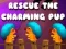 Rescue The Charming Pup