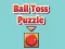 Ball Toss Puzzle