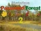 Mysterious Password Forest Autumn Edition 2
