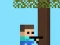Minescraft Steve Adventures