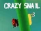 Crazy snail