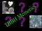 TBBH Memories