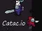 Catac.io