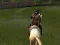 Ertugrul Gazi Horse Sim