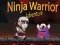 Ninja Warrior Adventure