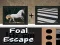 Foal Escape