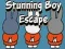 Stunning Boy Escape