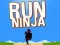Run Ninja  