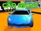 Car Stunt 