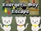 Energetic Boy Escape
