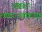 Bernati Forest Adventure