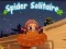 Spider Solitaire 