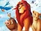 Lion King Slide