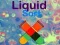 Liquid Sort
