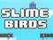 Slime Birds